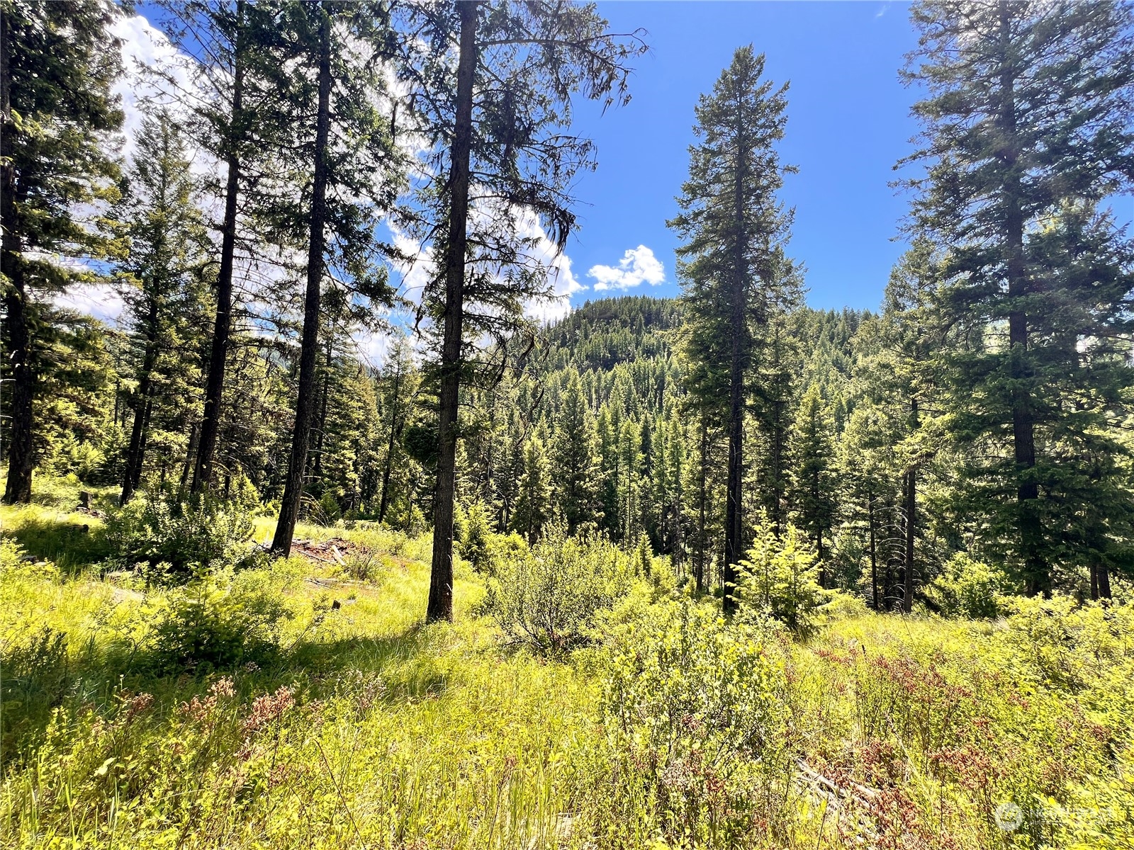 0 Old Kettle Falls Road Republic WA 99166