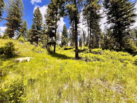 0 Old Kettle Falls Road Republic WA 99166