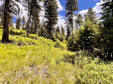 0 Old Kettle Falls Road Republic WA 99166
