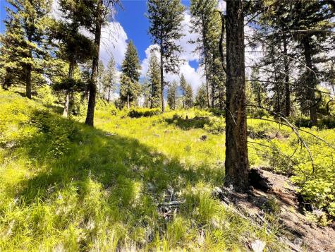 0 Old Kettle Falls Road Republic WA 99166