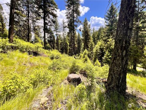 0 Old Kettle Falls Road Republic WA 99166