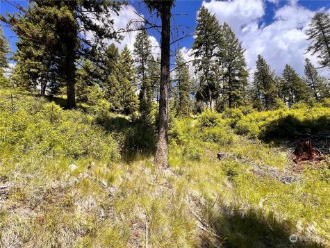 0 Old Kettle Falls Road Republic WA 99166