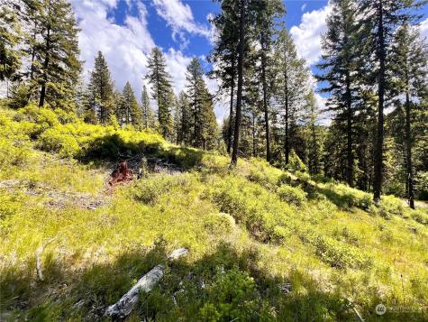 0 Old Kettle Falls Road Republic WA 99166
