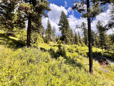 0 Old Kettle Falls Road Republic WA 99166
