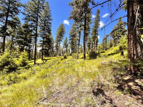 0 Old Kettle Falls Road Republic WA 99166