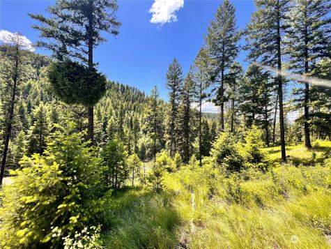 0 Old Kettle Falls Road Republic WA 99166