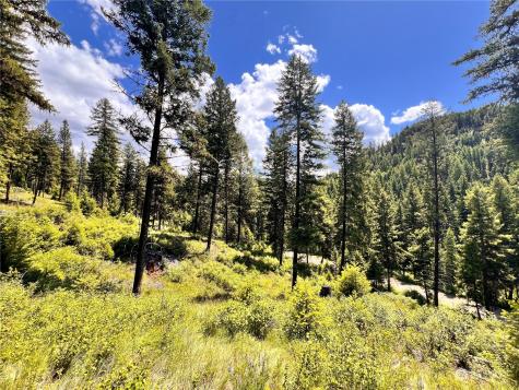 0 Old Kettle Falls Road Republic WA 99166