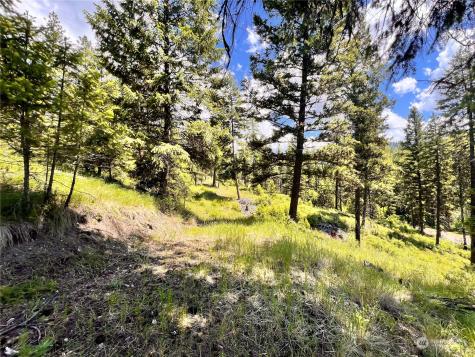 0 Old Kettle Falls Road Republic WA 99166