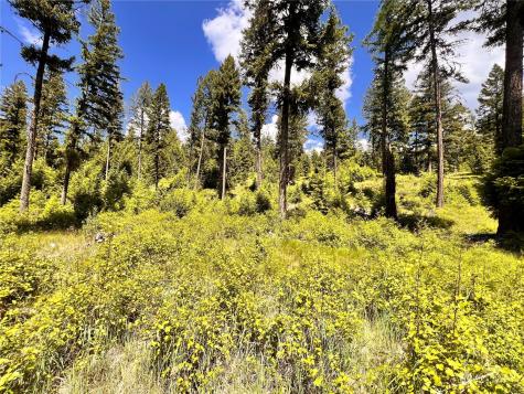 0 Old Kettle Falls Road Republic WA 99166