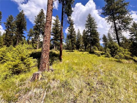 0 Old Kettle Falls Road Republic WA 99166