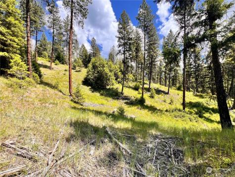 0 Old Kettle Falls Road Republic WA 99166