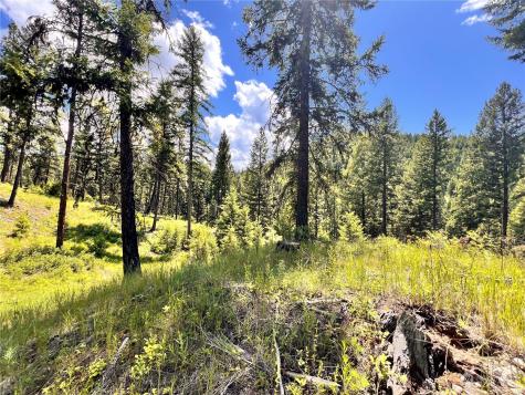 0 Old Kettle Falls Road Republic WA 99166