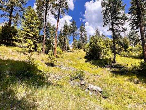 0 Old Kettle Falls Road Republic WA 99166
