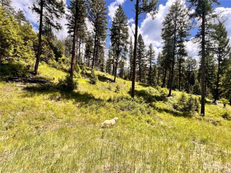 0 Old Kettle Falls Road Republic WA 99166