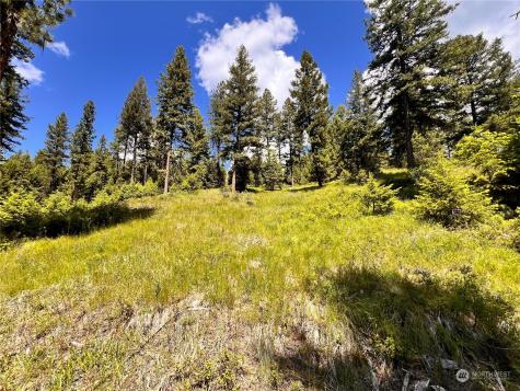 0 Old Kettle Falls Road Republic WA 99166