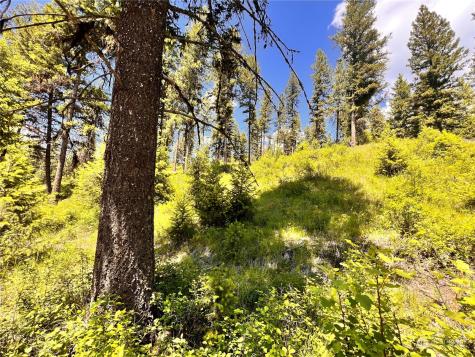 0 Old Kettle Falls Road Republic WA 99166