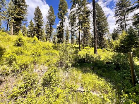 0 Old Kettle Falls Road Republic WA 99166