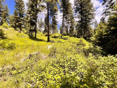 0 Old Kettle Falls Road Republic WA 99166