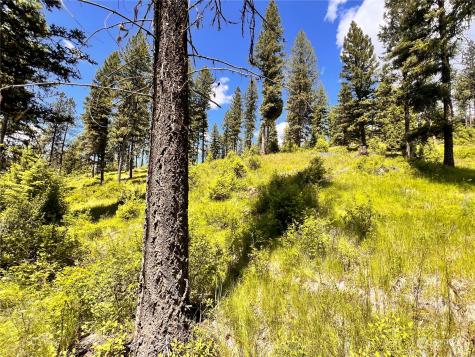 0 Old Kettle Falls Road Republic WA 99166