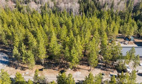 47 Gold Leaf Lane Cle Elum WA 98922