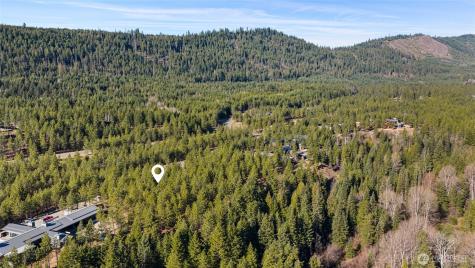 47 Gold Leaf Lane Cle Elum WA 98922
