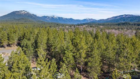 47 Gold Leaf Lane Cle Elum WA 98922
