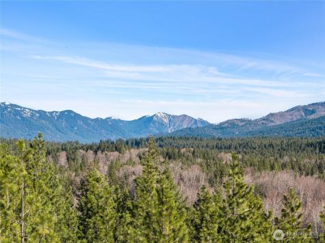 47 Gold Leaf Lane Cle Elum WA 98922