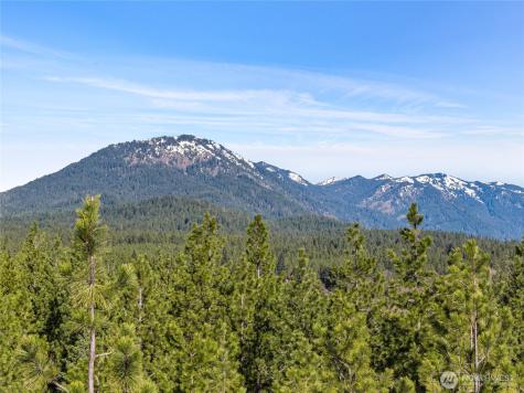 47 Gold Leaf Lane Cle Elum WA 98922