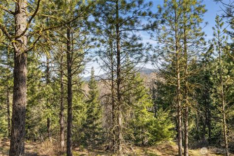 47 Gold Leaf Lane Cle Elum WA 98922