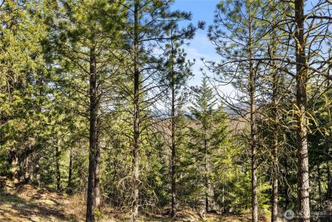 47 Gold Leaf Lane Cle Elum WA 98922