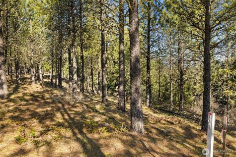 47 Gold Leaf Lane Cle Elum WA 98922