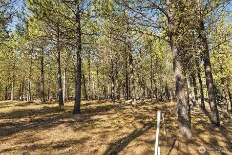 47 Gold Leaf Lane Cle Elum WA 98922