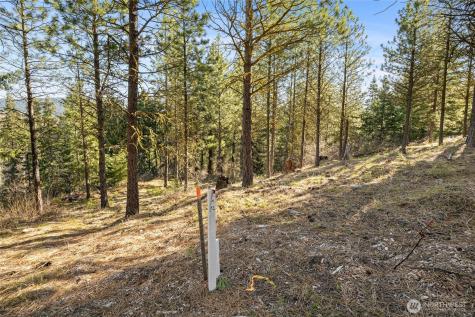 47 Gold Leaf Lane Cle Elum WA 98922