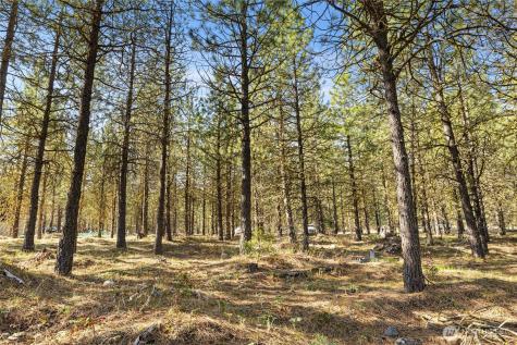 47 Gold Leaf Lane Cle Elum WA 98922
