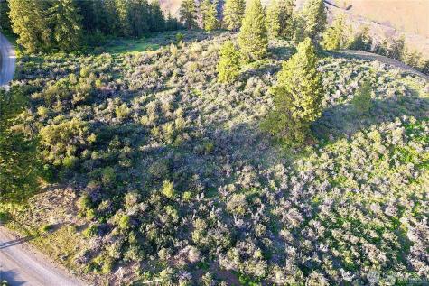 2911 W Sun East Road Ellensburg WA 98926