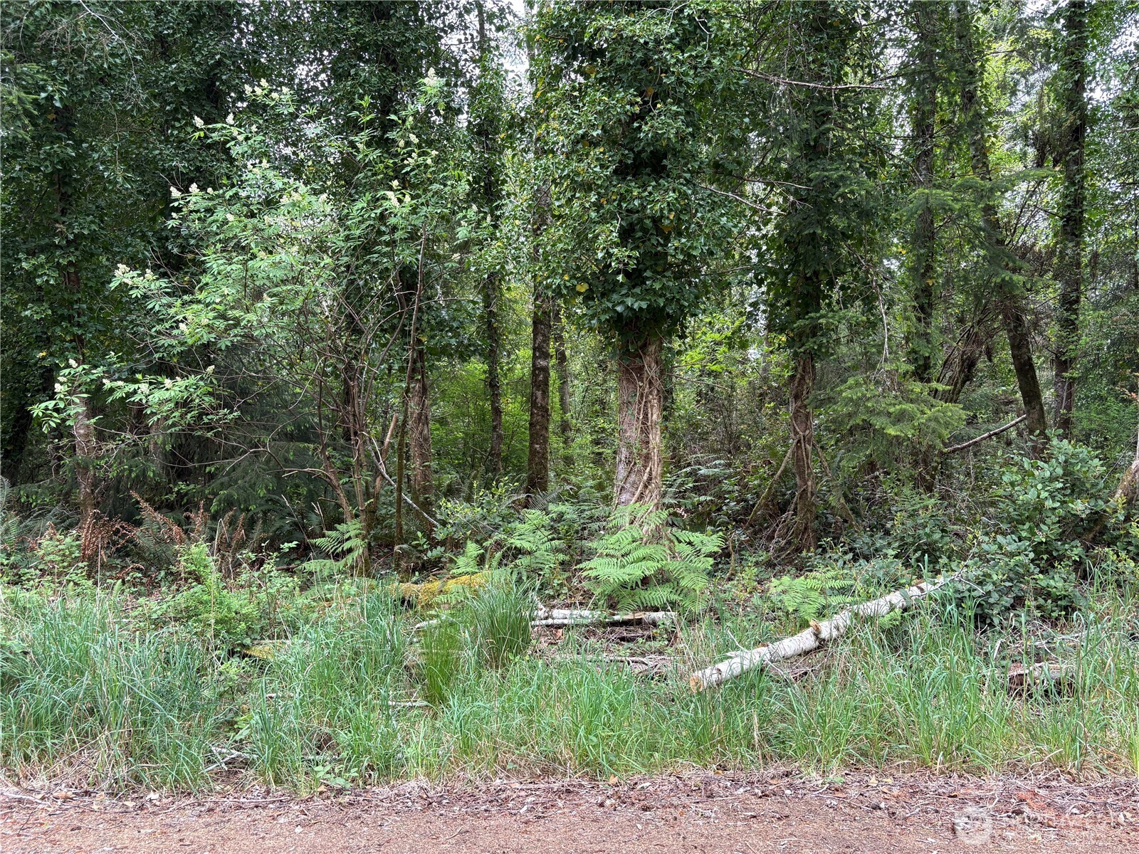 285 Z Street Ocean Park WA 98640