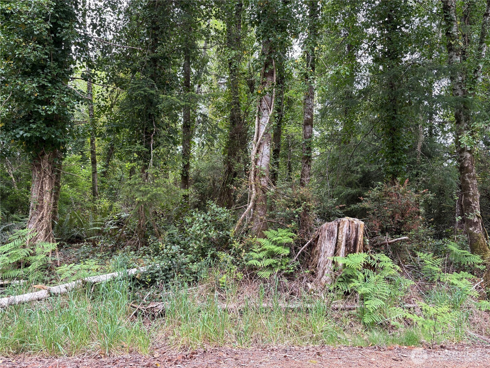285 Z Street Ocean Park WA 98640