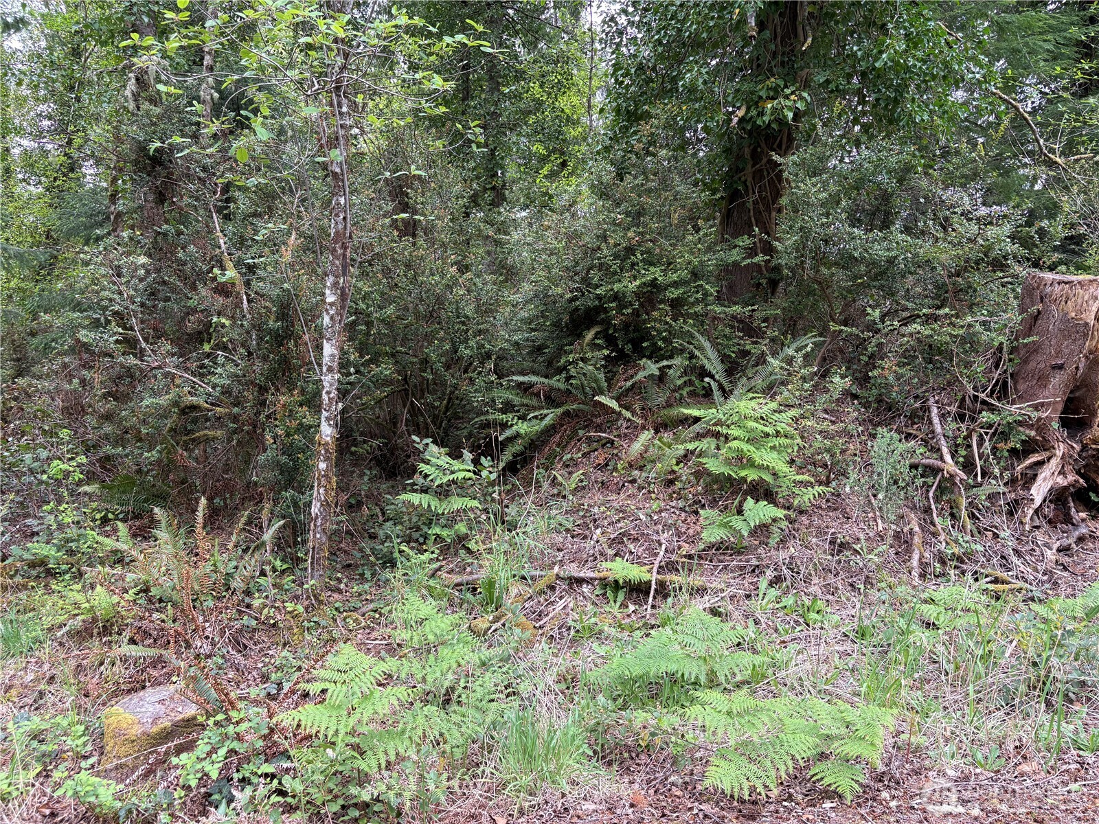 285 Z Street Ocean Park WA 98640