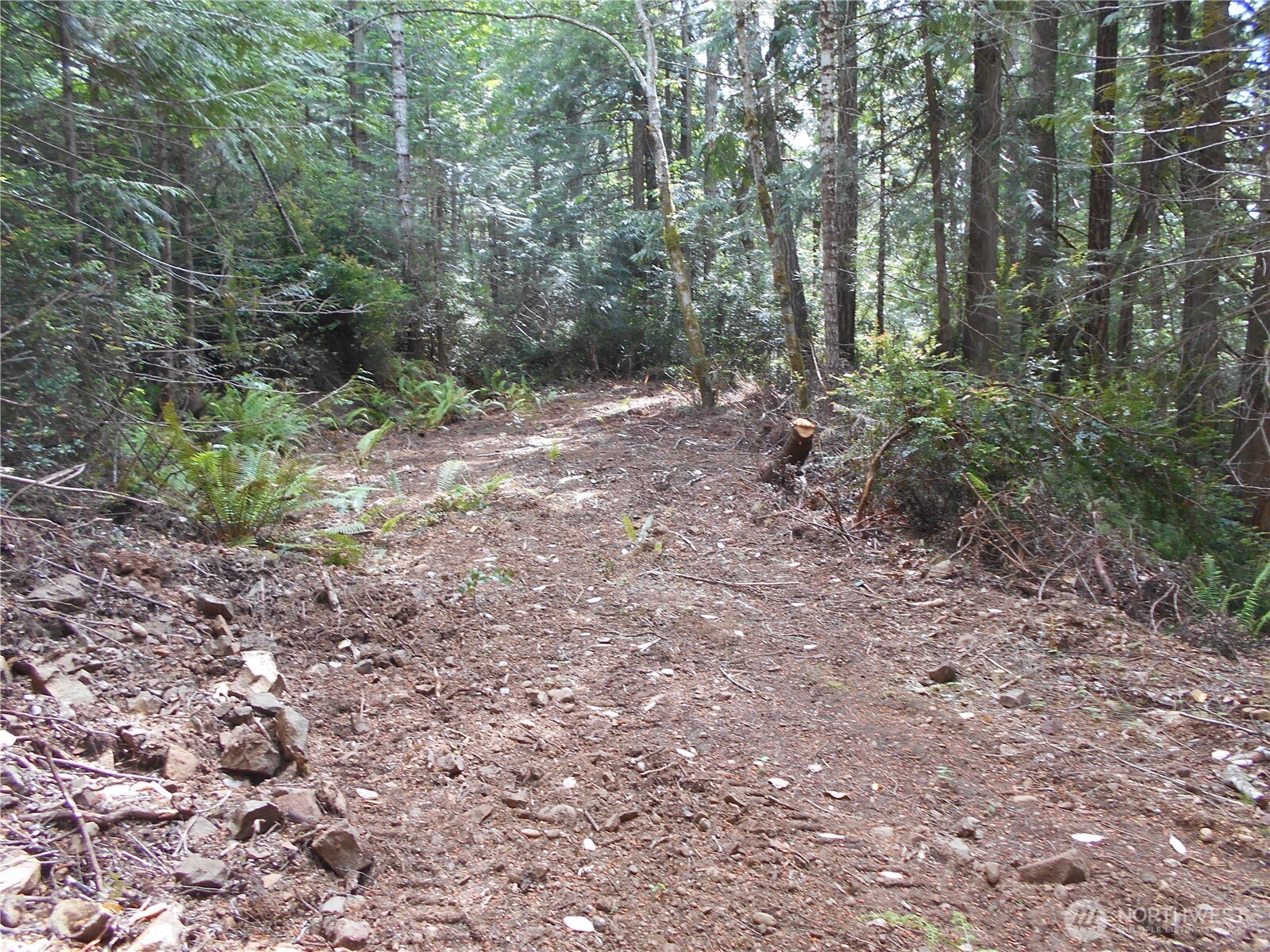 0 Yashi Road Brinnon WA 98320