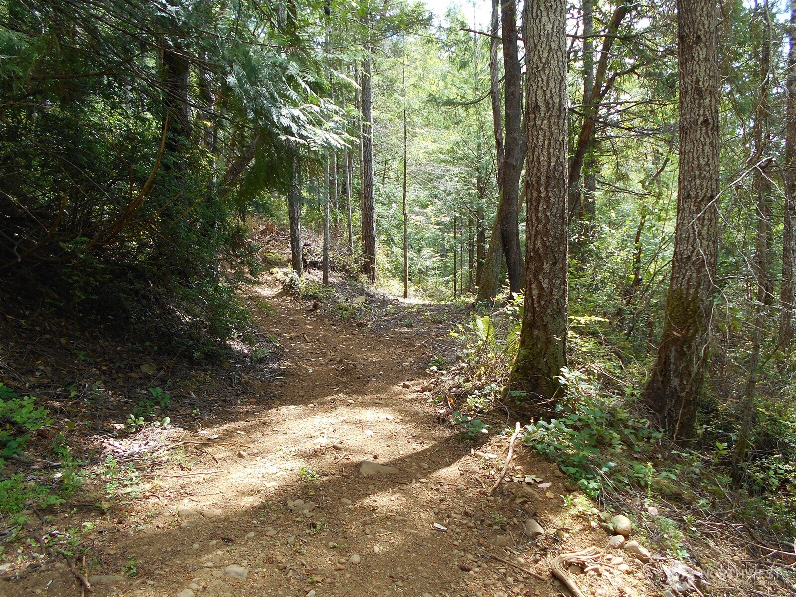 0 Yashi Road Brinnon WA 98320