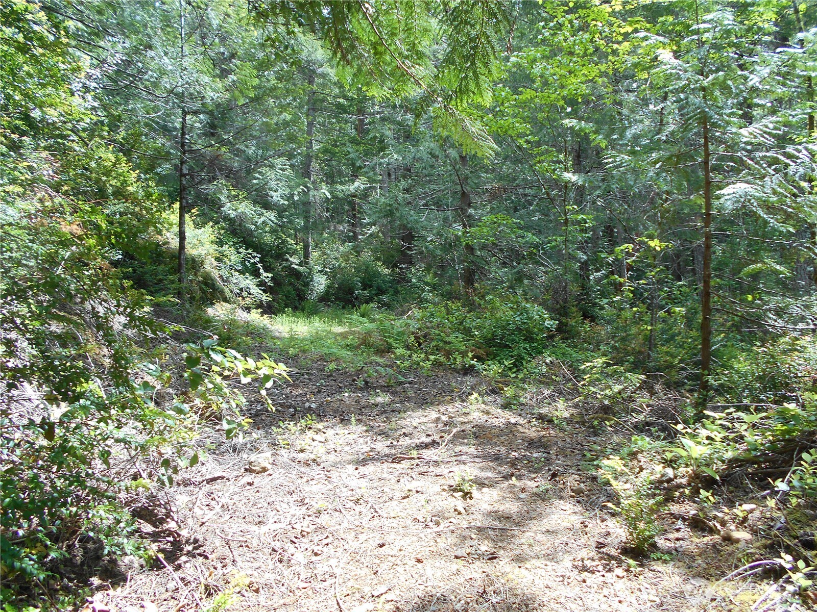 0 Yashi Road Brinnon WA 98320