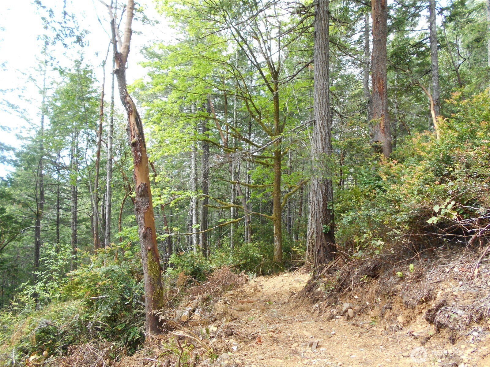 0 Yashi Road Brinnon WA 98320