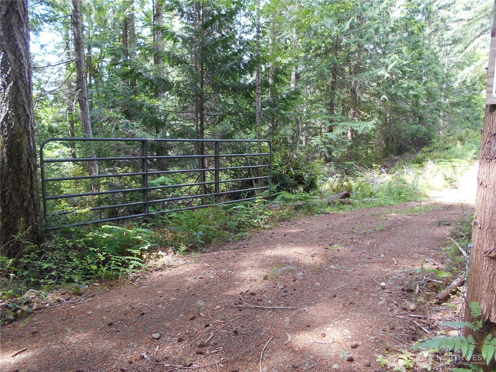 0 Yashi Road Brinnon WA 98320