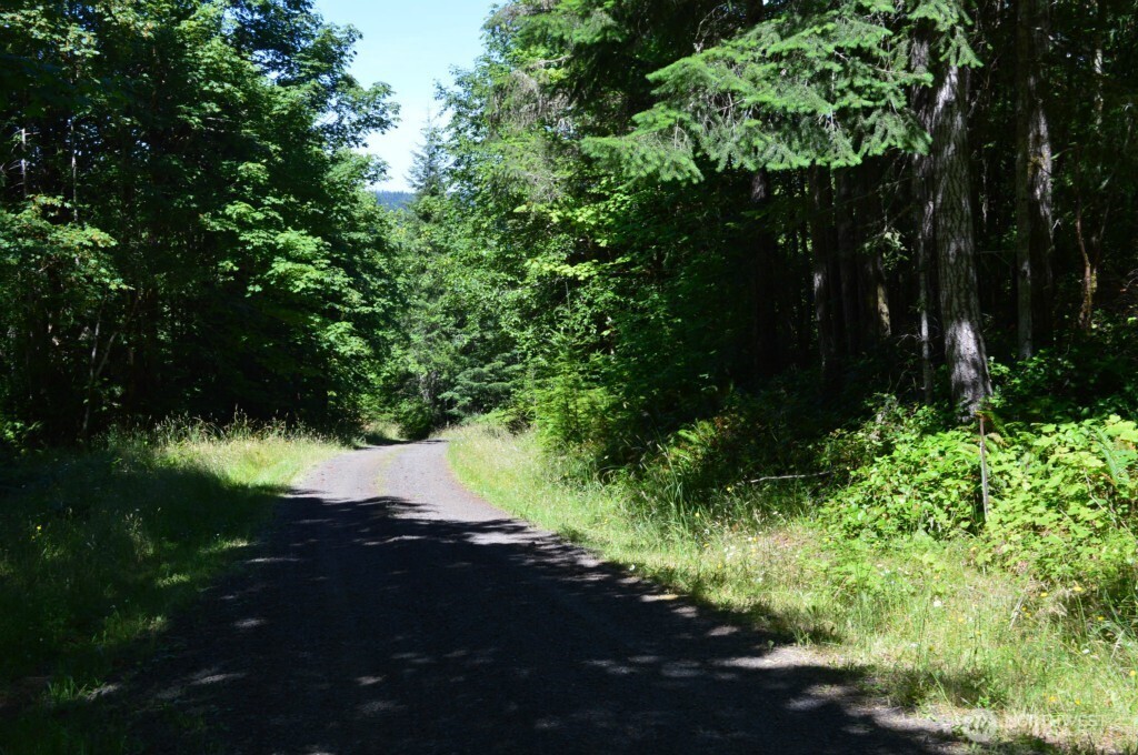2607 Stonecrest Lane NW Olympia WA 98502