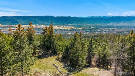 80 Forest Ridge (Lot 80) Drive Cle Elum WA 98922