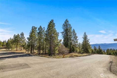 80 Forest Ridge (Lot 80) Drive Cle Elum WA 98922
