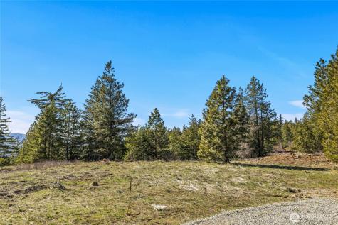 80 Forest Ridge (Lot 80) Drive Cle Elum WA 98922