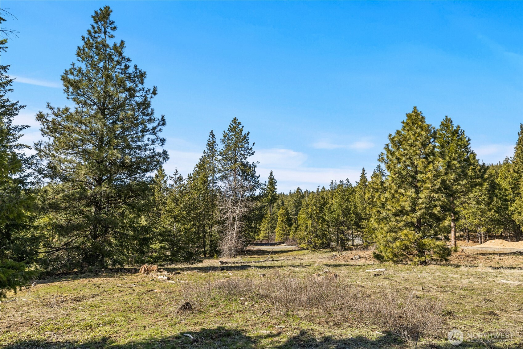80 Forest Ridge (Lot 80) Drive Cle Elum WA 98922
