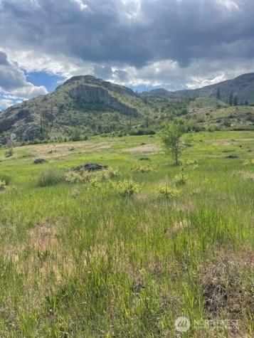 2 Lot 2 Black Canyon Road Pateros WA 98846