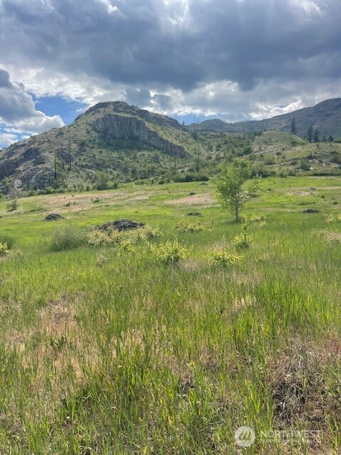 2 Lot 2 Black Canyon Road Pateros WA 98846